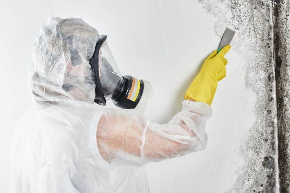 iDry technician in PPE scraping black mould from wall during professional remediation in Auckland